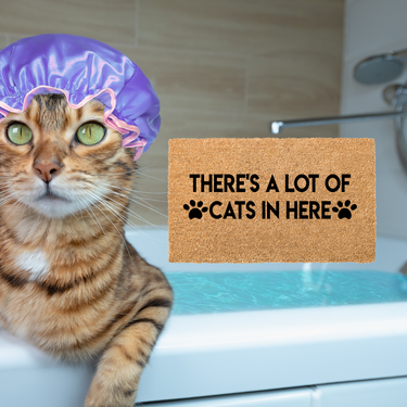 Theres a lot of Cats - Unicorn Fart Productions